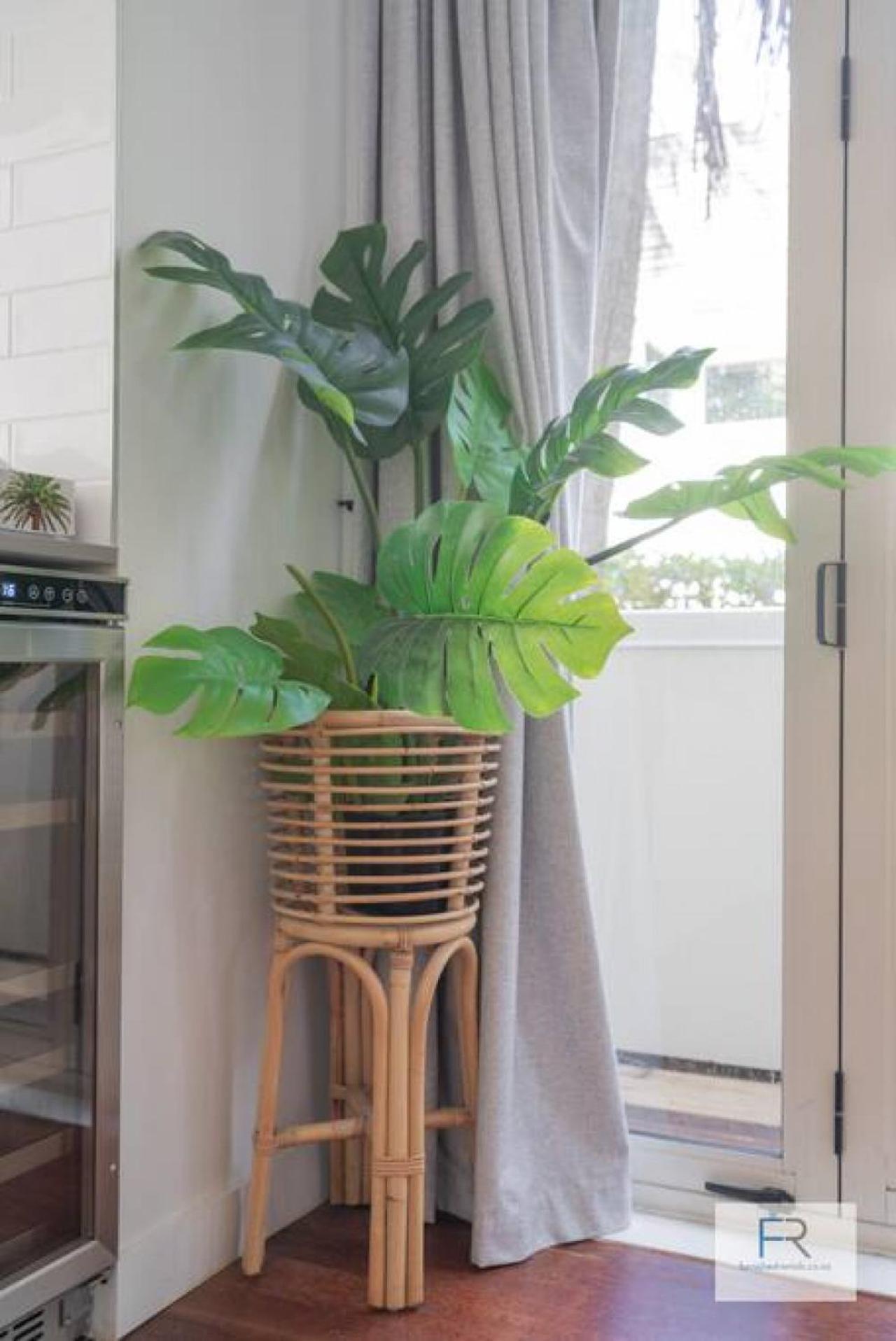 Chic Parnell Townhouse Villa Auckland Exterior foto